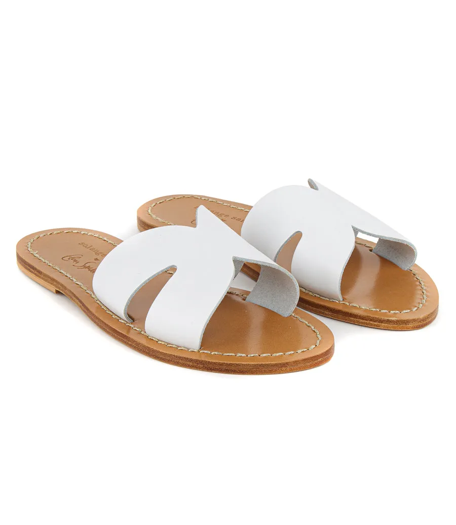 BUTTERFLY WHITE